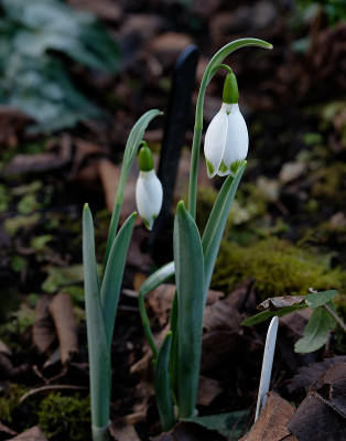DSC_8192_DxO.jpg