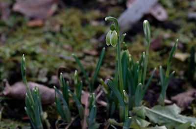DSC_8193_DxO.jpg