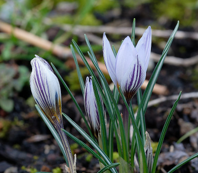 DSC_8195_DxO.jpg