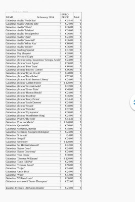 Screenshot_20240130_115149_WEBDE Mail.jpg