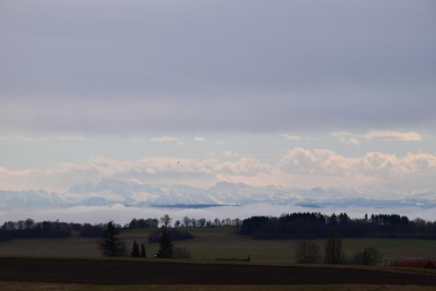 DSC_0331.JPG