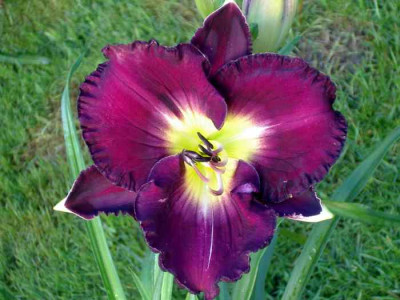 Magnificient_Obsession_P0227.jpg