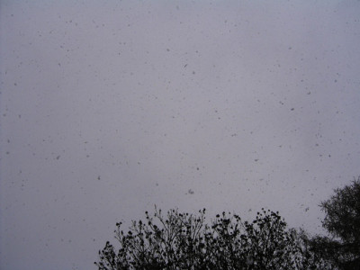schneeflocken_286.jpg