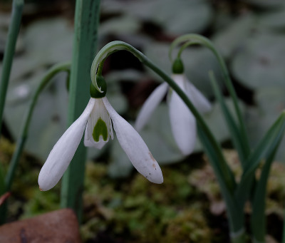 DSC_8204_DxO.jpg
