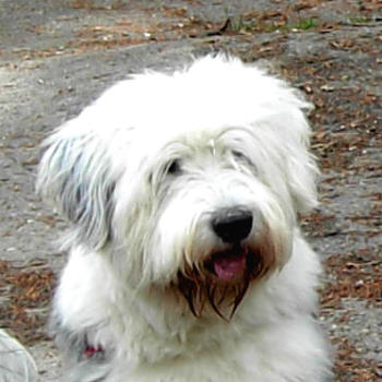 PICT2010a.jpg