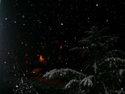 Schneeflocken_im_November_1001.jpg