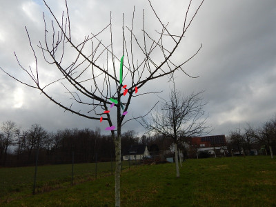 DSCN2199 -für garten-pur.jpg