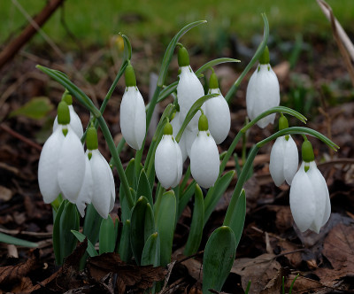 DSC_8212_DxO.jpg