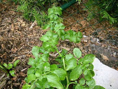 unbekannt2_2008-07-13_088.jpg
