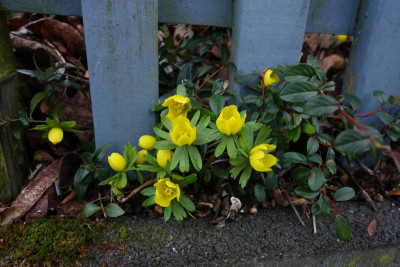 DSC02663.JPG