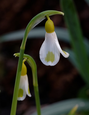 DSC_8229_DxO.jpg