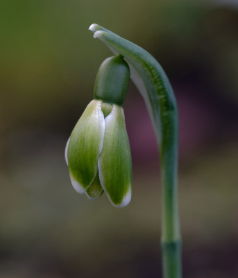 DSC_8230_DxO.jpg