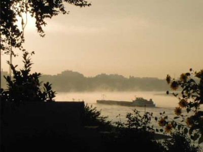 nebelrhein012small.jpg