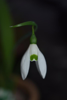 DSC_0630.JPG