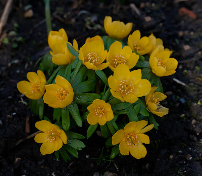 DSC_8246_DxO.jpg