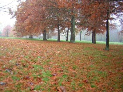 77Herbstfreude.jpg