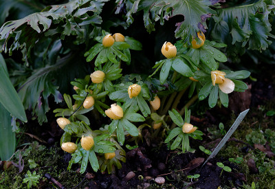 DSC_8232_DxO.jpg