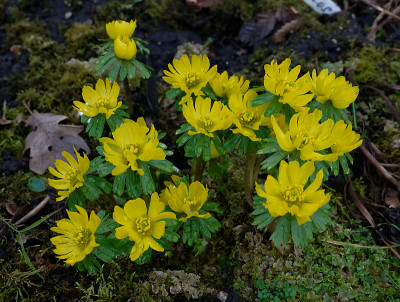 DSC_8236_DxO.jpg