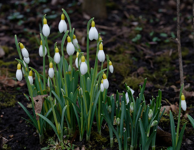DSC_8217_DxO.jpg