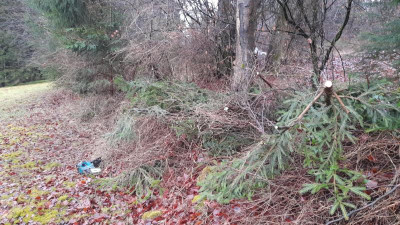 IMG-20240211-WA0005.jpeg