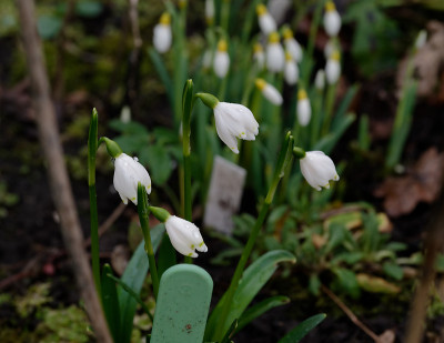 DSC_8256_DxO.jpg