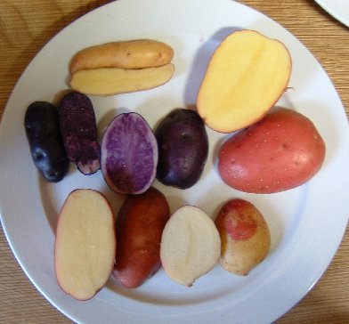 bunte_kartoffeln__2003.jpg