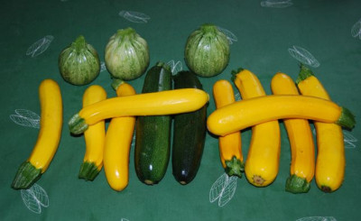 Zucchiniflut.jpg