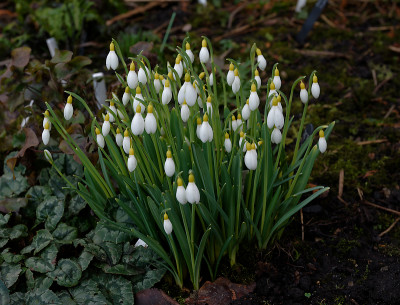 DSC_8257_DxO.jpg