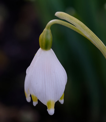 DSC_8258_DxO.jpg