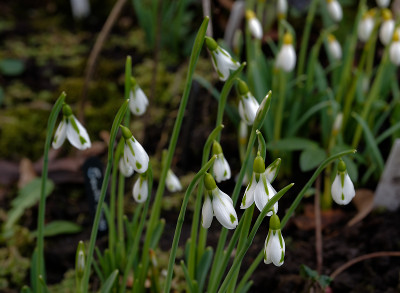 DSC_8259_DxO.jpg