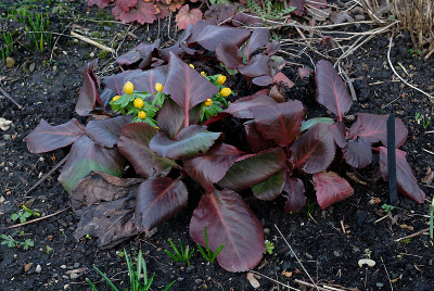 DSC_8266_DxO.jpg