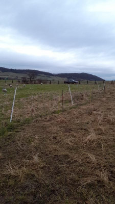IMG-20240214-WA0005.jpeg