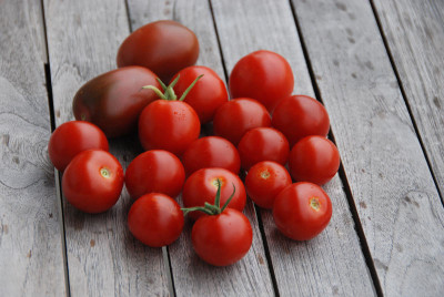 Tomatenernte-08-07-14.jpg