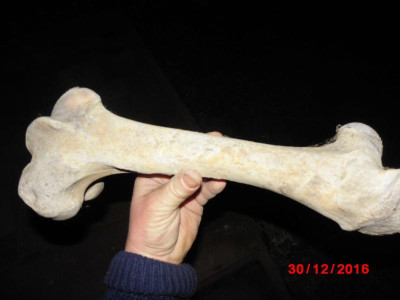 DSCI0638.JPG