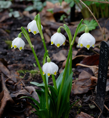 DSC_8271_DxO.jpg