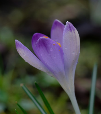 DSC_8272_DxO.jpg
