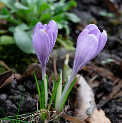 DSC_8281_DxO.jpg