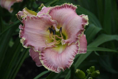 paulette_miller_0655.jpg