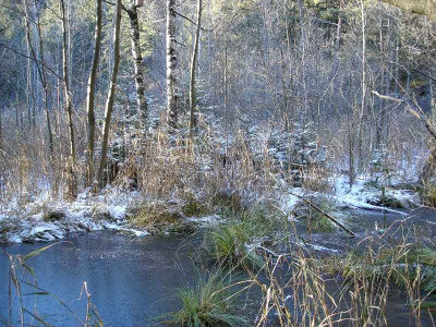 lanser_moor4.jpg
