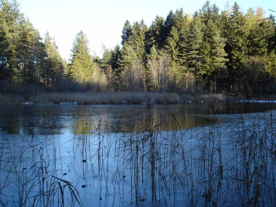 lanser_moor3.jpg