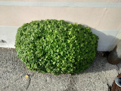 IMG20240215144655.jpg