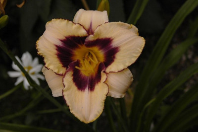 26.06.2008_009.jpg