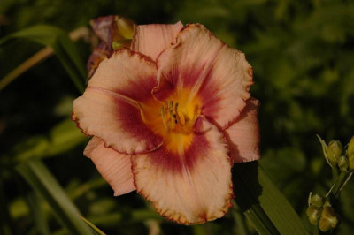 26.06.2008_015.jpg