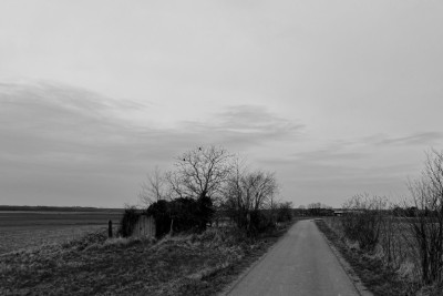 IMG_9943_DxO800.jpg