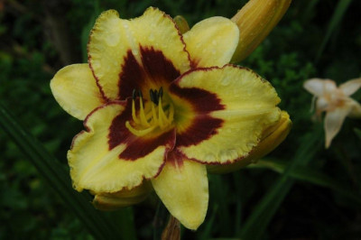 08.07.2008_013.jpg