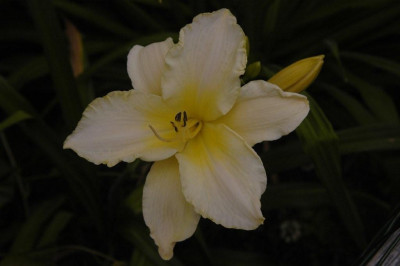 01.07.2008_047.jpg