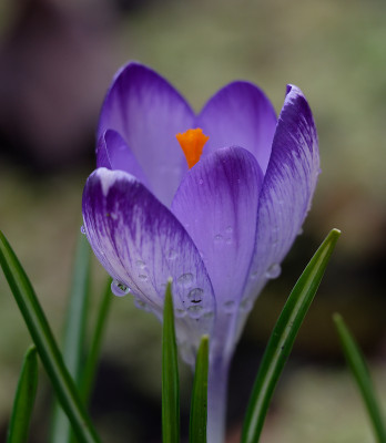 DSC_8273_DxO.jpg
