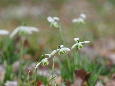 UE_24_09.JPG