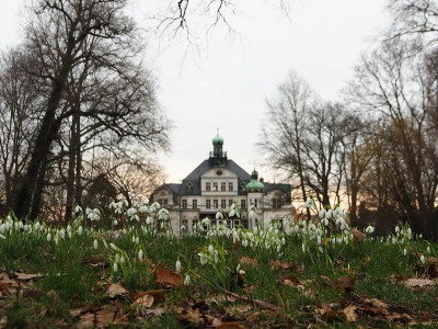 UE_24_15.JPG