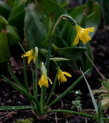 DSC_8289_DxO.jpg